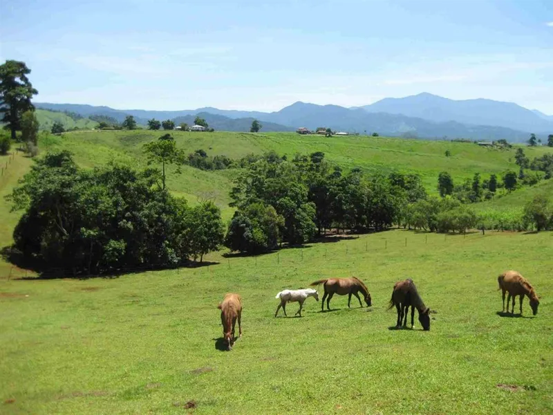 Elevated small acreage with great views, used for horses