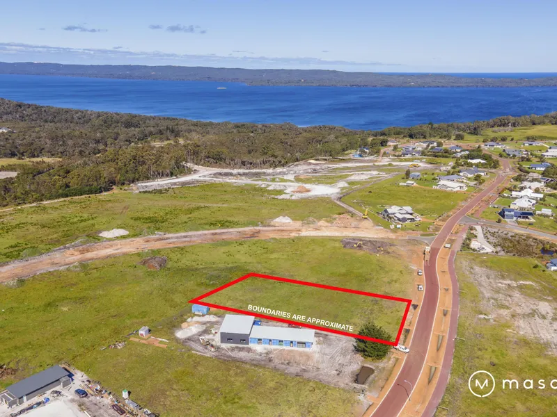 Beauty on Beaufortia