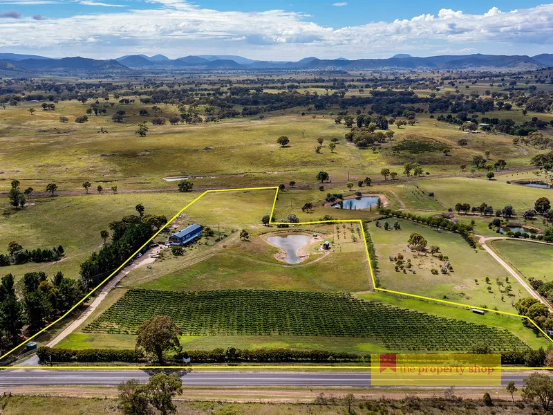 SPRAWLING HOME & VINEYARD ON TOWN'S DOORSTEP