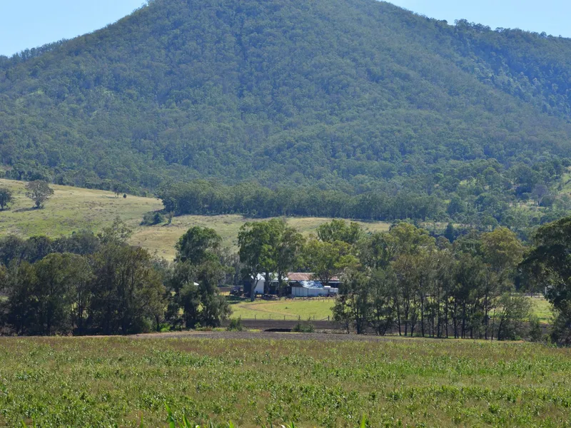 HAVE THE THREE BAY SHED? HOME NEEDED