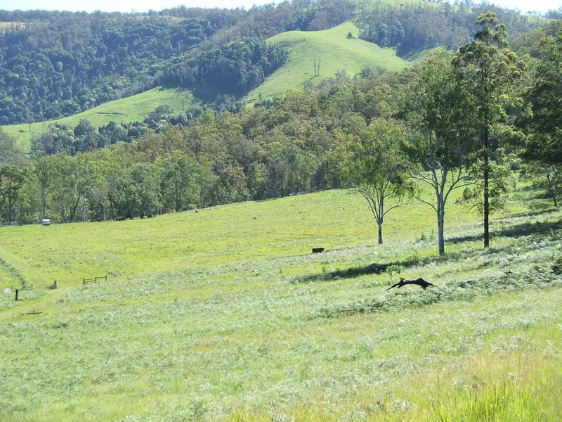 Get away from it all. 392 acres - river front, creek, clean country with options for home site plus timbered ridges and rainforest.