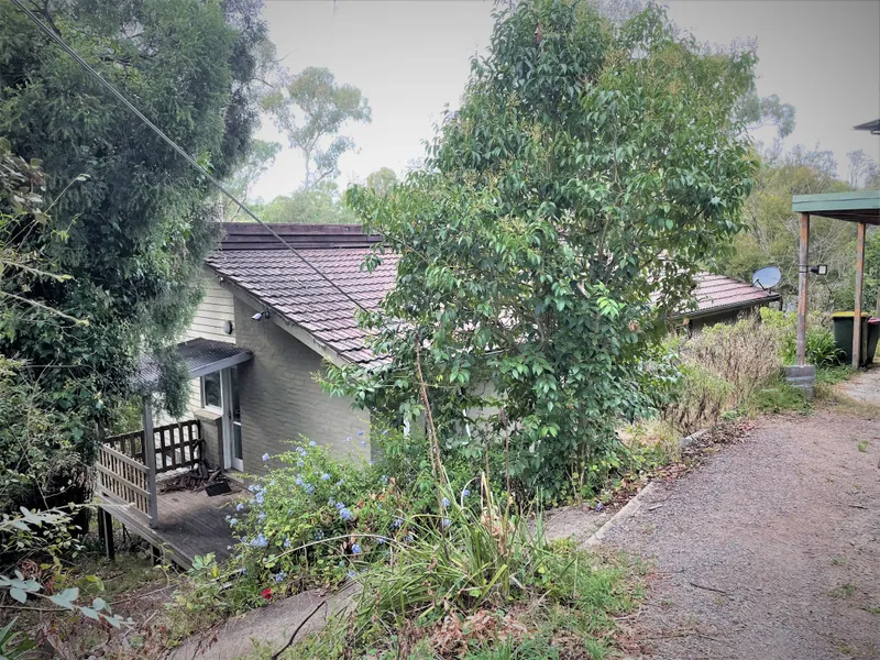 Home Amongst the Trees