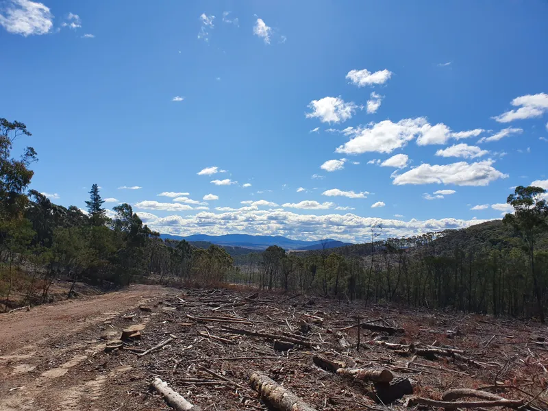 300 acre recreational play ground