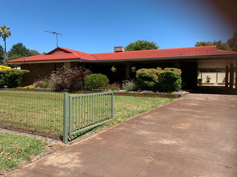 DELIGHT IN SERPENTINE