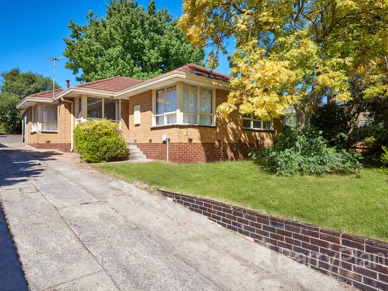 LAND AHOY! THERE IS AN ABUNDANCE OF IT HERE!