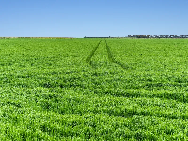 Premium Mixed Farming & Wind Turbine Rental Income