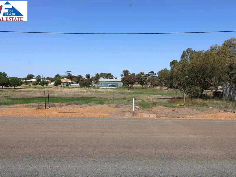 Ready to build your dream country home? This block of land is for you. (1.5 acres)