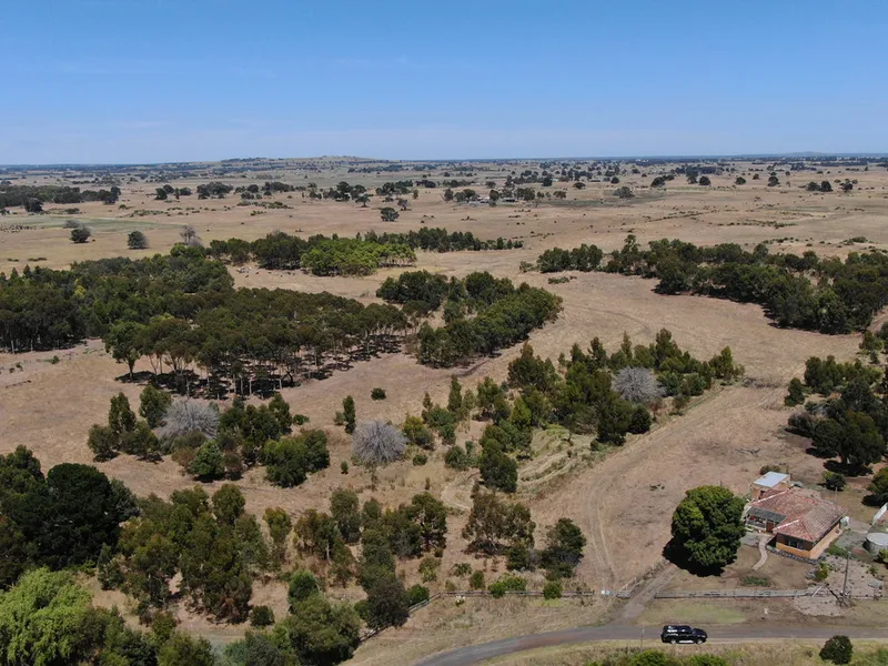 COLAC DISTRICT CATTLE / LIFESTYLE COUNTRY