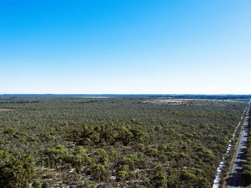 Get Back to Nature - 351 acres in prime location