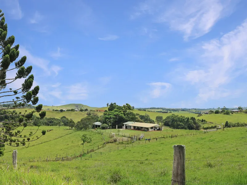 Look Out Over Your Own Paradise