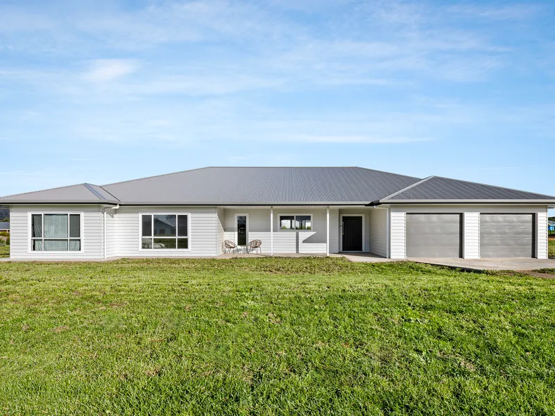 Bright & Beautiful Modern Home with Premium Features