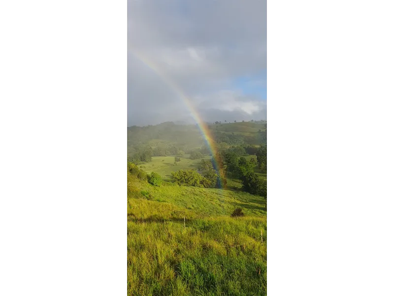 60 acres of peaceful living