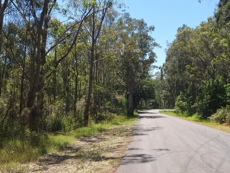 Expressions of Interest