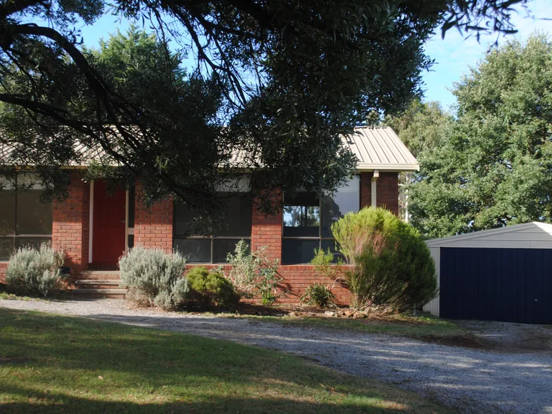 WHAT A LITTLE BEAUTY!