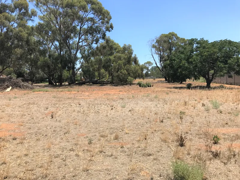 RARE LISTING – GRAB IT WHILE YOU CAN!!