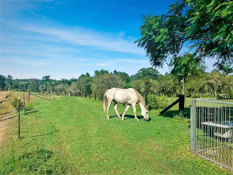 Rural property in Elimbah with so much to offer