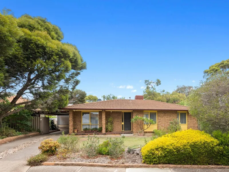 First home buyers get excited ... one for the investor too!
