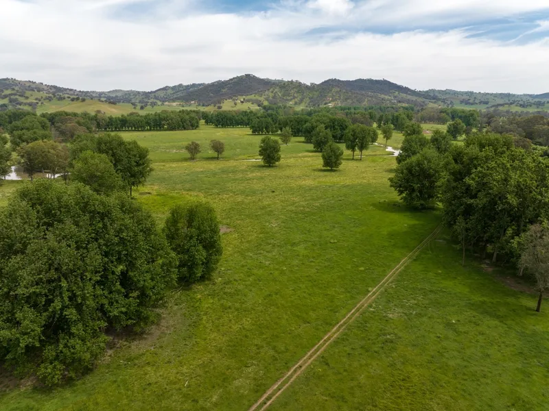 Riverfront Park - A Productive Powerhouse – Tumut River Flats