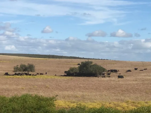 Greenwood Coast Road, Breton Bay - land banking opportunity