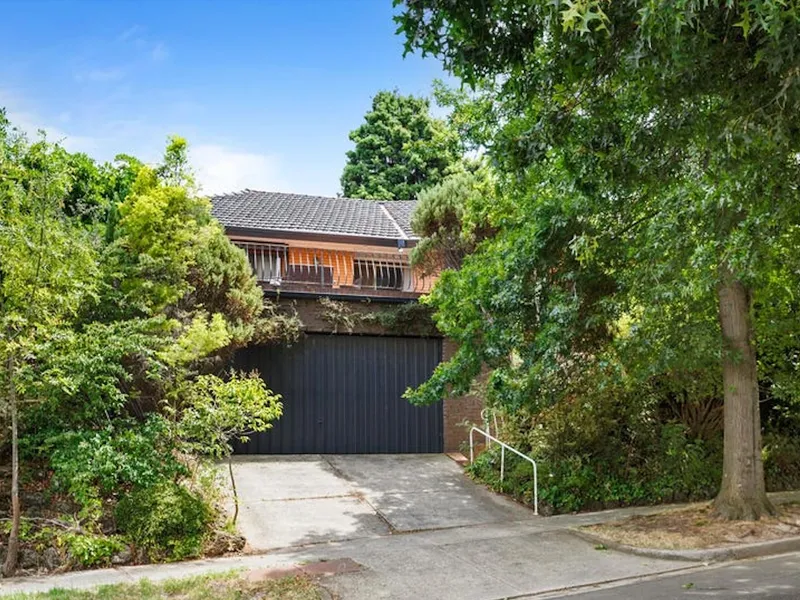 SOMETHING SPECIAL !!!