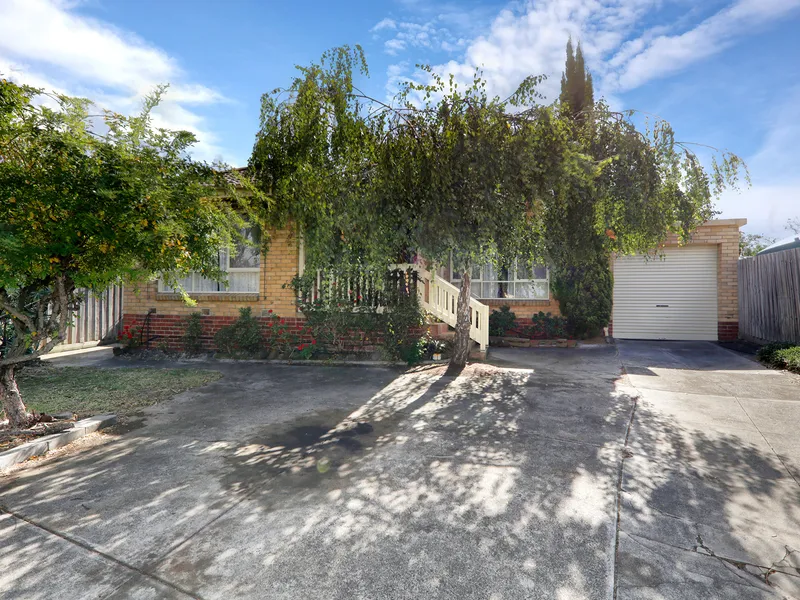 Large Family Home - Mount Waverley School Zone (STSA)