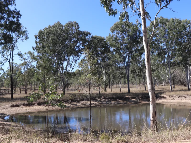 Escape the City Life