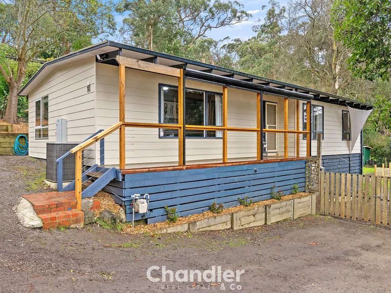 Between Practical Amenities and Picturesque Parkland