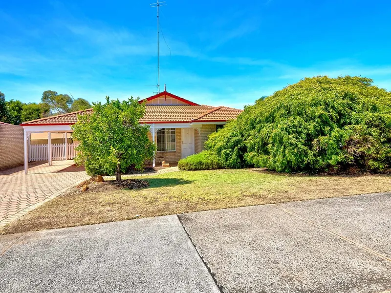 COLLEGE GROVE DELIGHT!