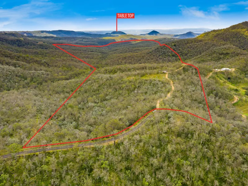 Build Your Dream Home On 167 Acres!