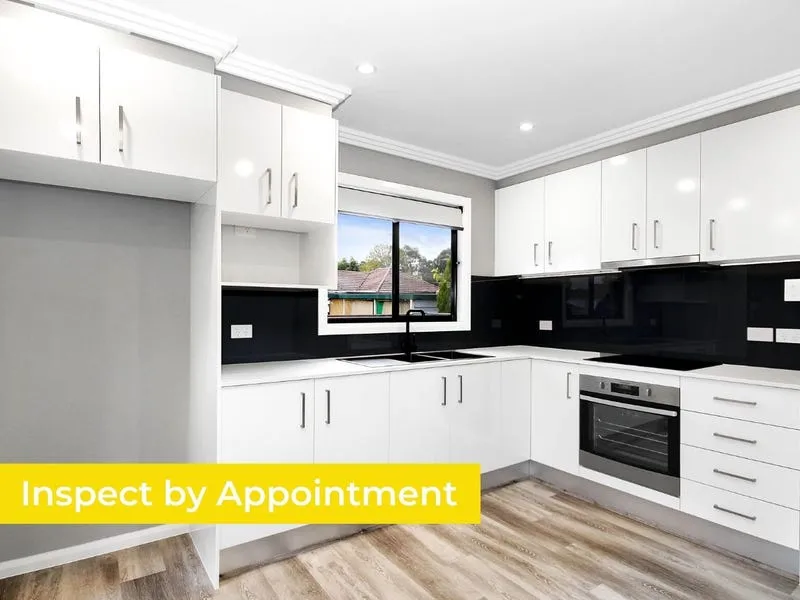 Modern and Comfortable