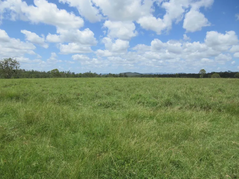 The Perfect Cattle Property