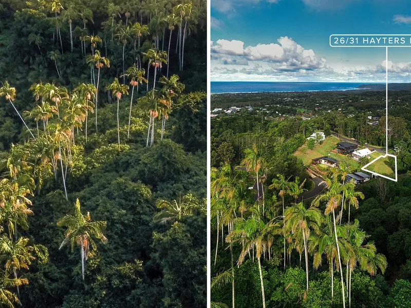Dreamy rainforest sanctuary in exclusive eco estate
