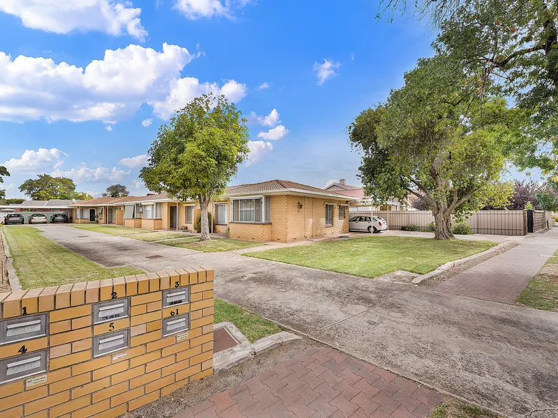 Comfort in Collinswood