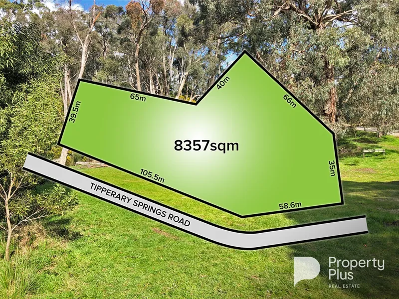 Outstanding Building Block on 2 Acres