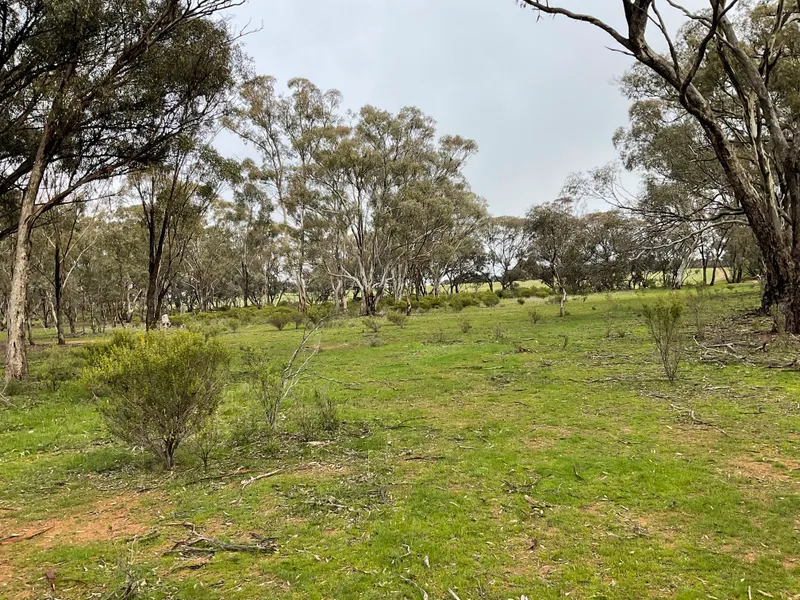 13Acres only minutes from town.