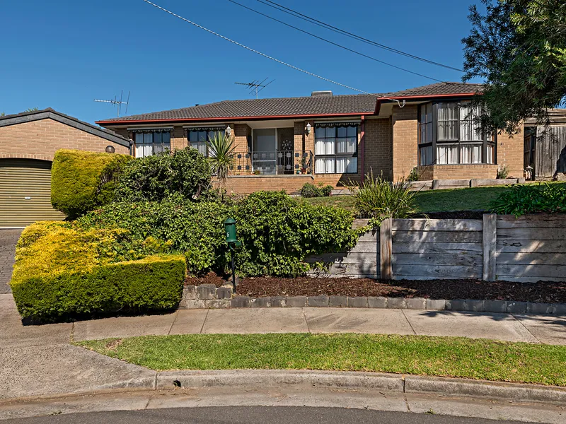 Family Favourite with Instant Appeal and Elevated Potential