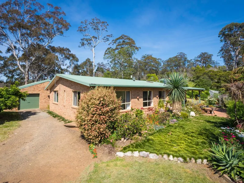 THE MAGIC OF BALD HILLS