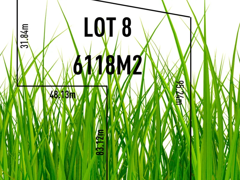 EXCITING LAND RELEASE