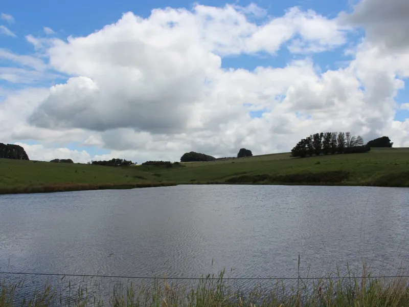 Quality Simpson District Country