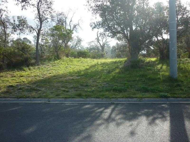 WELL WORTH YOUR CONSIDERATION