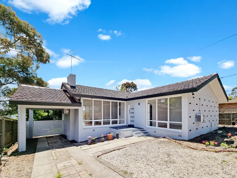 Freshly Updated Home With Large Backyard