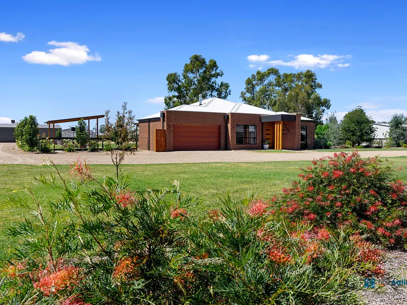 Spectacular Family Living Hidden In Nature