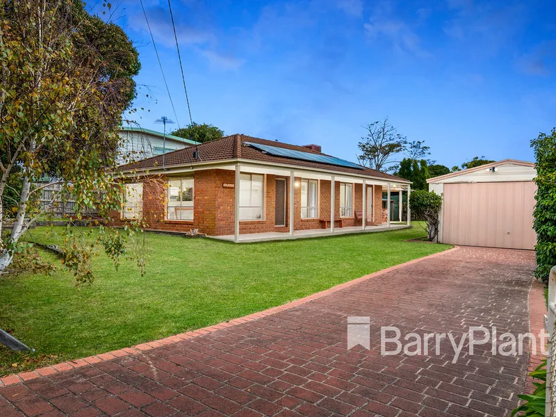 Double Lot – 2 for 1 Money Maker.