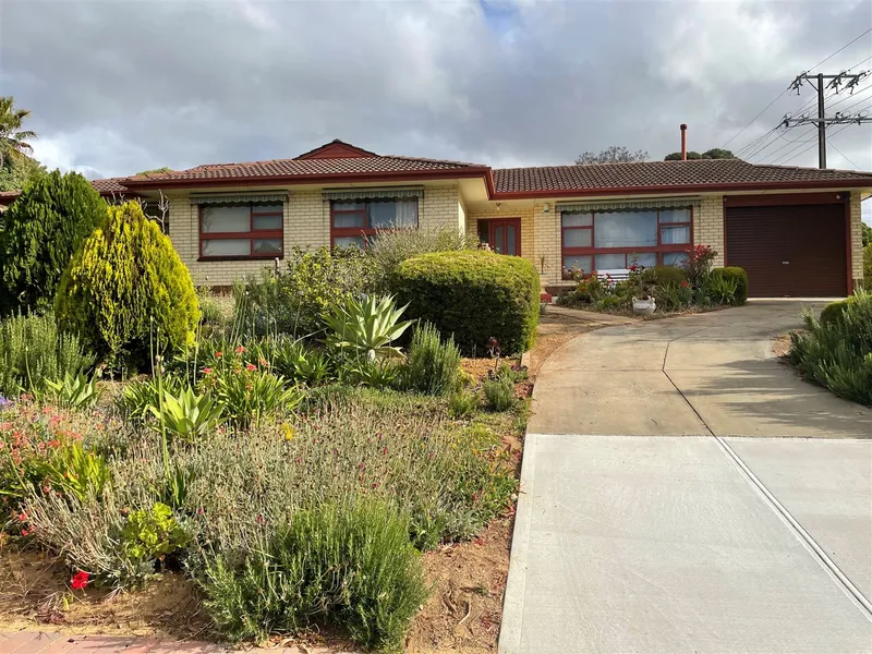 Lovely Outlook - Neat and tidy family home