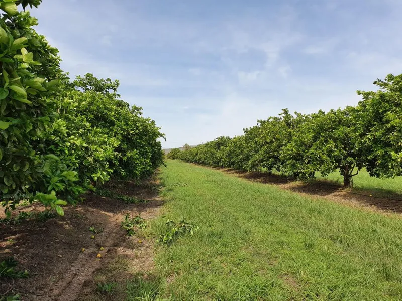Reduced - Rural Opportunity