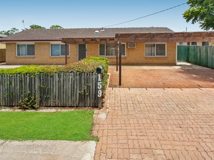 DREAM Project!  Ready for your LOVE and ATTENTION! 