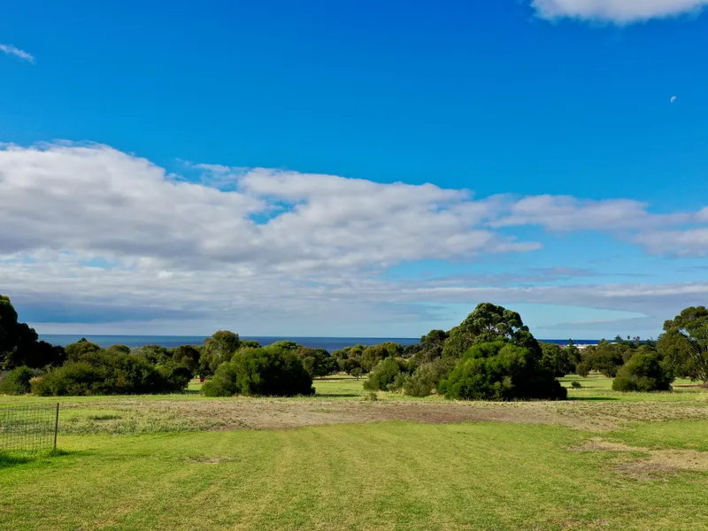 A Very Pretty Patch in Penneshaw