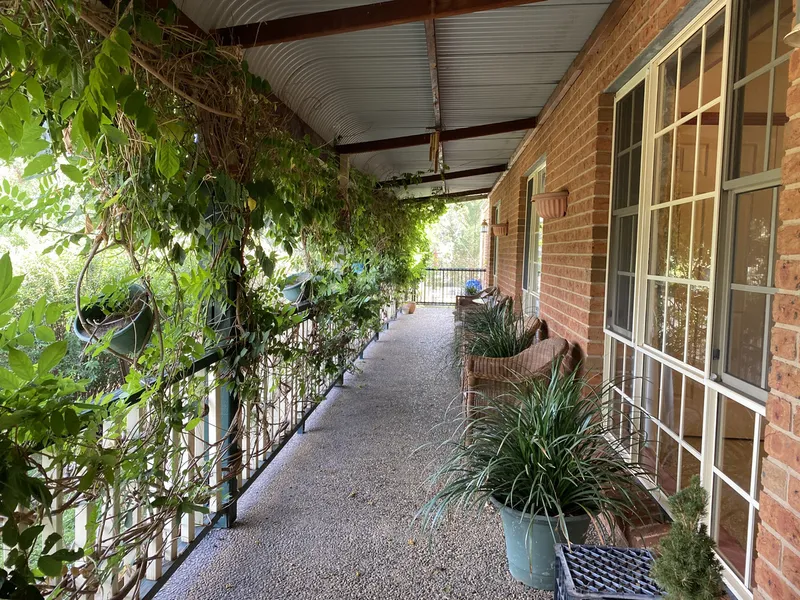 Immaculate Elevated Home On 20 Acres