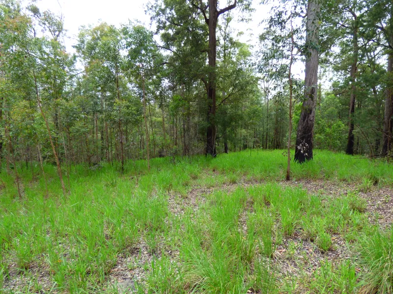 BUSH BLOCK IN WONDECLA