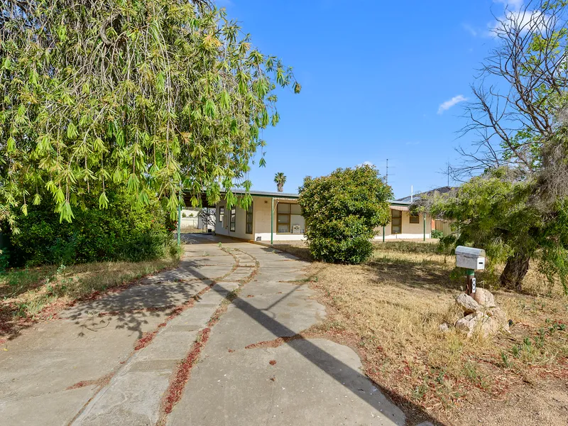 Could this be the one you've been waiting for?